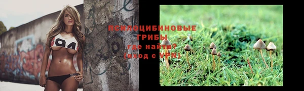 дживик Киреевск